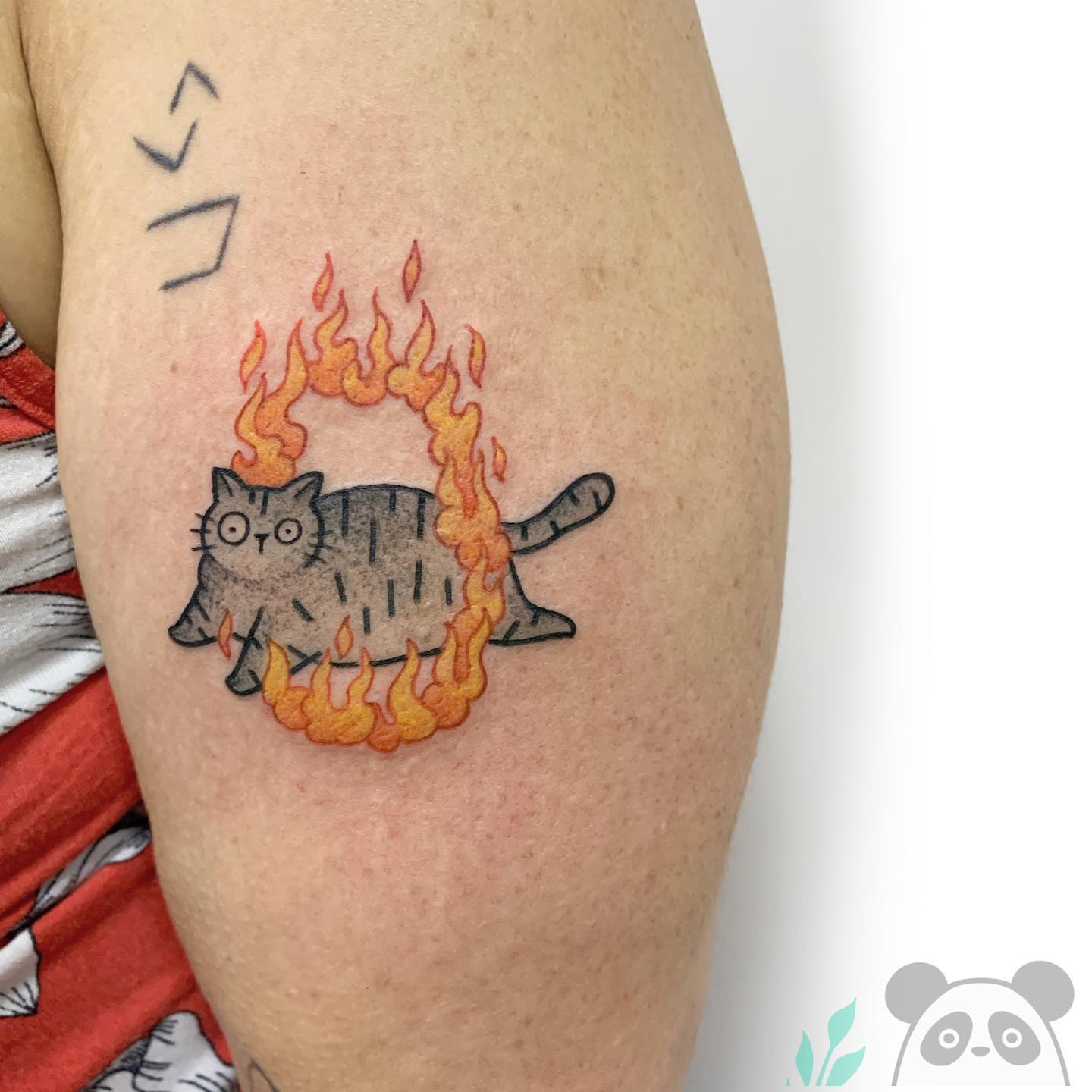 Gato Pegando Fogo - Tattoo